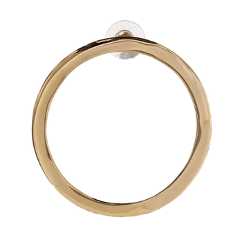 Circle Earring