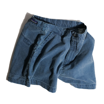 Patagonia / Short Pants