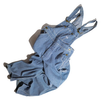 Lee / Stripped Overall